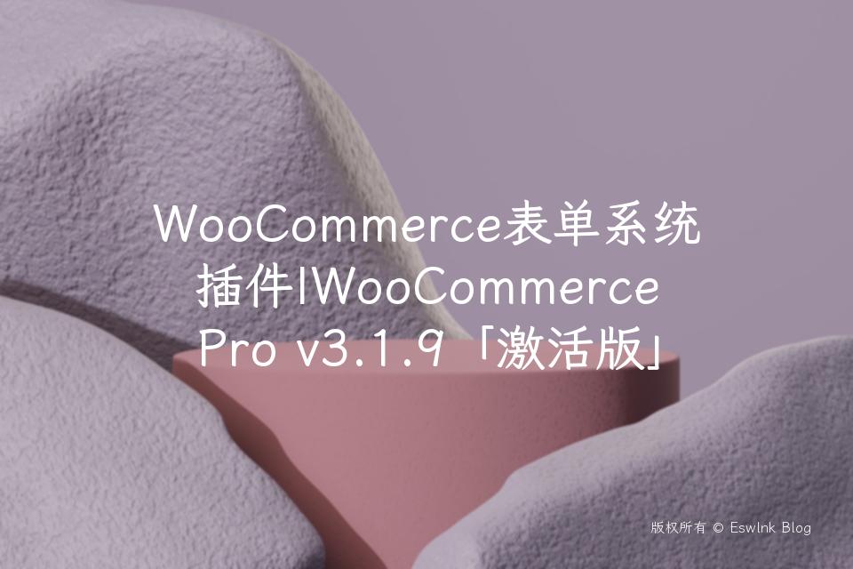 WooCommerce表单系统插件|WooCommerce Pro v3.1.9「激活版」插图