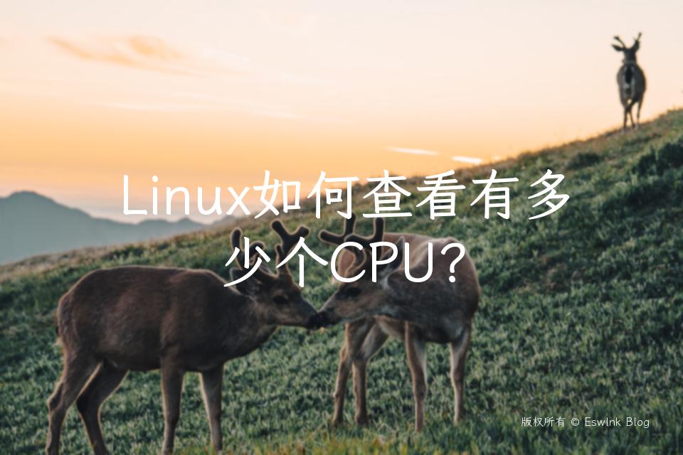 Linux如何查看有多少个CPU？插图