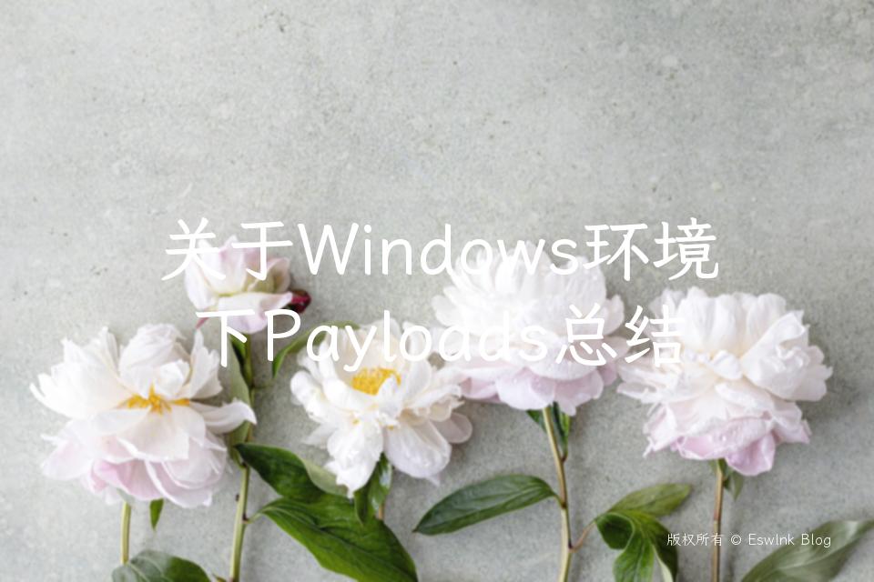 关于Windows环境下Payloads总结插图