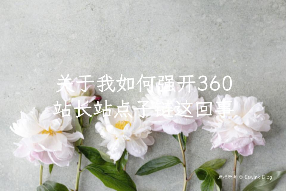 关于我如何强开360站长站点子链这回事插图