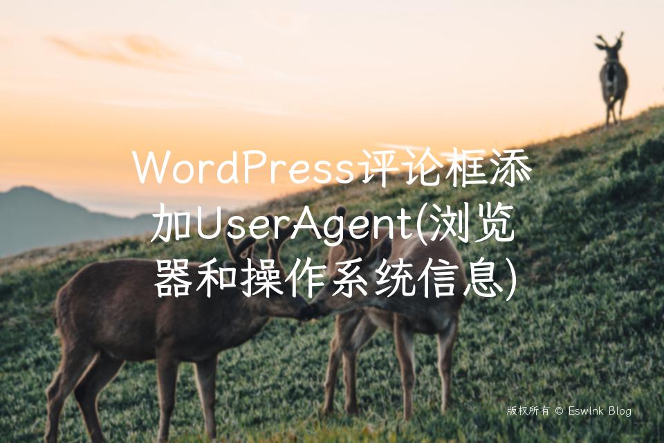 WordPress评论框添加UserAgent(浏览器和操作系统信息)插图