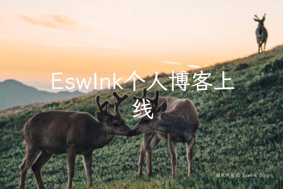 EswInk个人博客上线插图