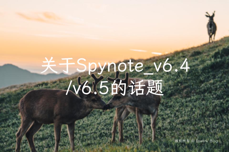 关于Spynote_v6.4/v6.5的话题插图