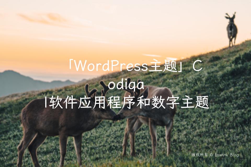 「WordPress主题」Codiqa |软件应用程序和数字主题插图