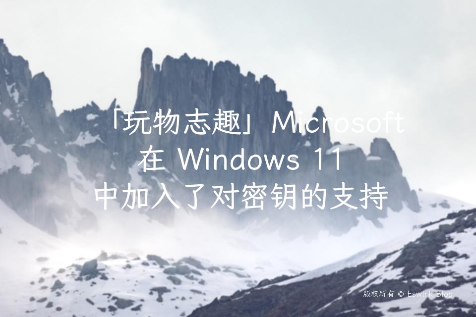 「玩物志趣」Microsoft 在 Windows 11 中加入了对密钥的支持插图