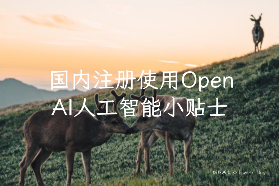 国内注册使用OpenAI人工智能小贴士插图