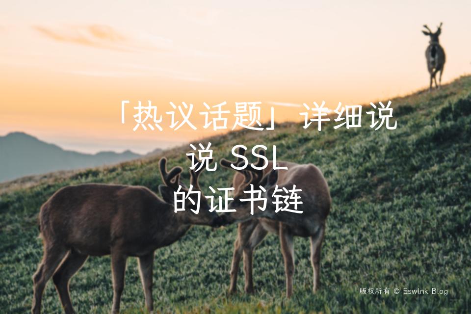 「热议话题」详细说说 SSL 的证书链插图