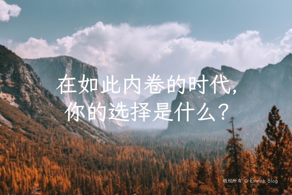 在如此内卷的时代，你的选择是什么？插图