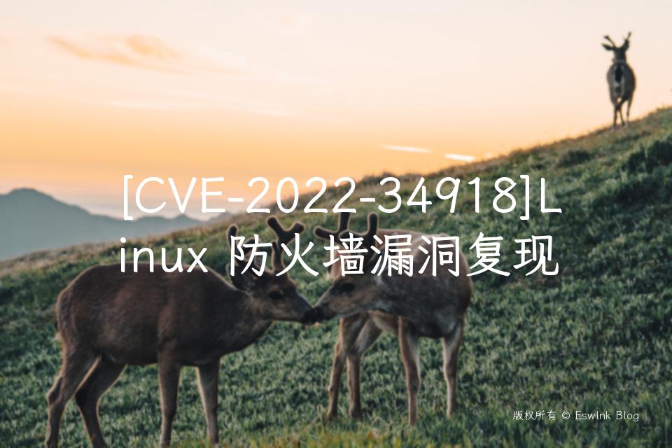 [CVE-2022-34918]Linux 防火墙漏洞复现插图